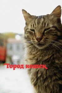  Город кошек  смотреть онлайн на лордфильм