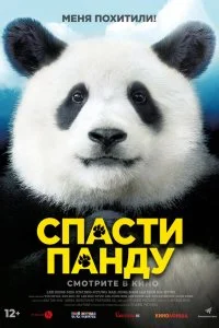  Спасти панду 
